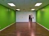 2520 N Dirksen Pkwy photo